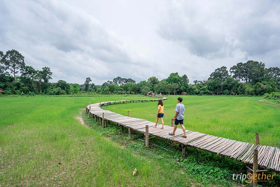 10 ที่เที่ยวเมืองรอง ใกล้กรุง ชวนเพื่อนไปสโลว์ไลฟ์ได้ง่ายๆ