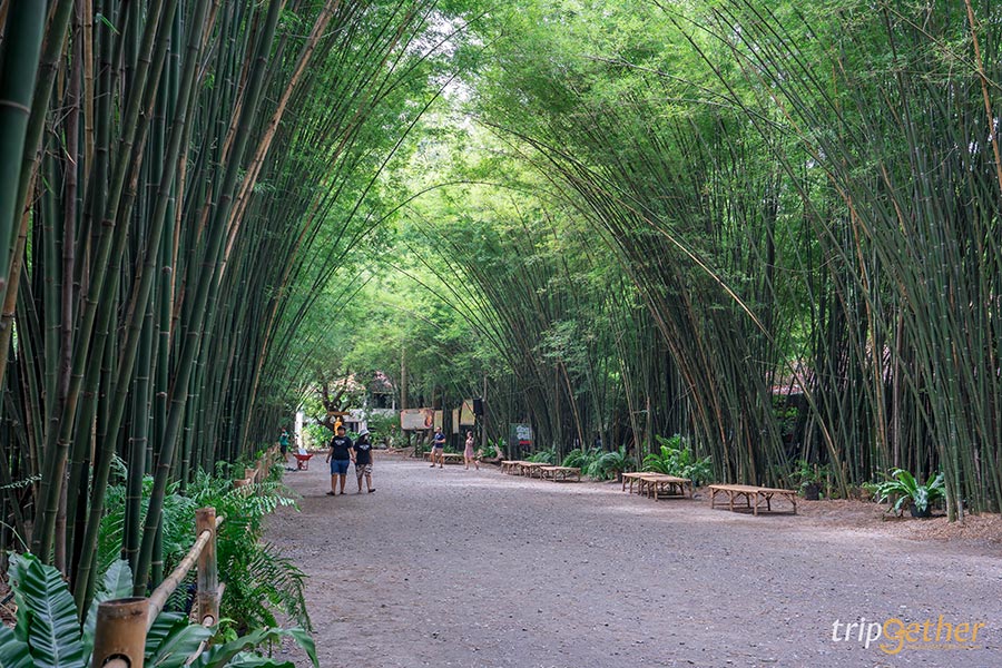 อัปเดต 9 วัดสวยใกล้กรุงเทพ ไหว้พระเสริมดวงครึ่งปีหลัง 2564