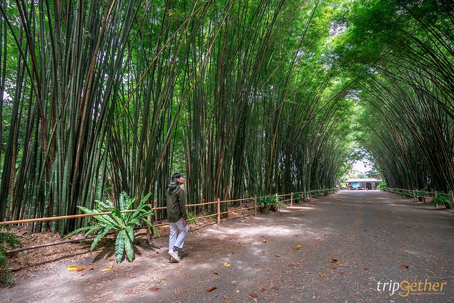 อัปเดต 9 วัดสวยใกล้กรุงเทพ ไหว้พระเสริมดวงครึ่งปีหลัง 2564