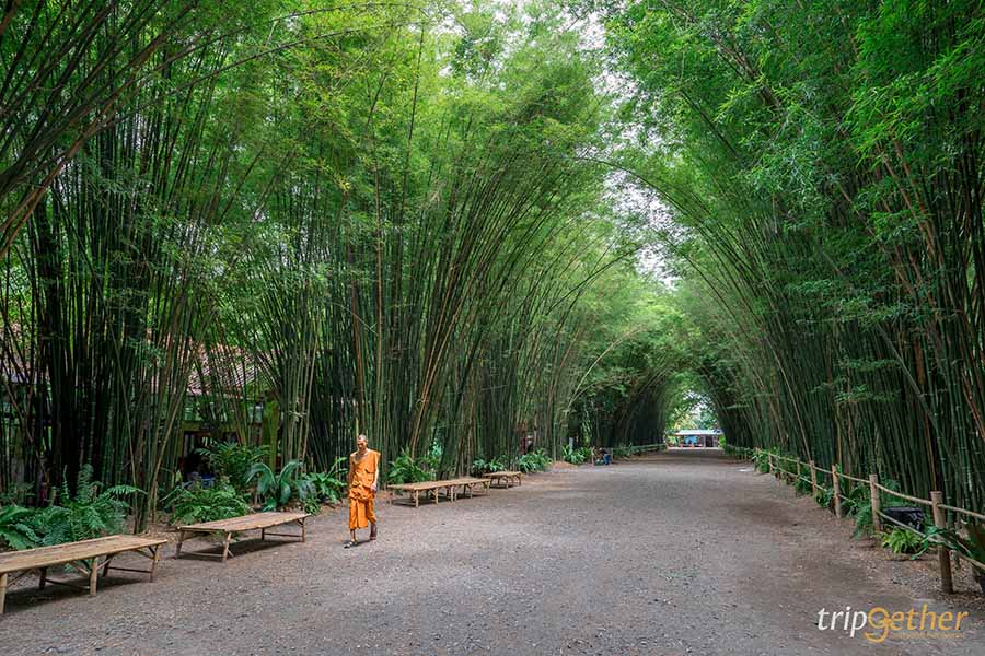 10 ที่เที่ยวเมืองรอง ใกล้กรุง ชวนเพื่อนไปสโลว์ไลฟ์ได้ง่ายๆ