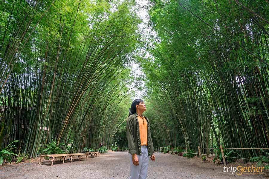 10 ที่เที่ยวเมืองรอง ใกล้กรุง ชวนเพื่อนไปสโลว์ไลฟ์ได้ง่ายๆ