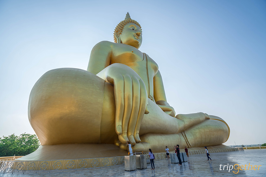 วัดม่วง