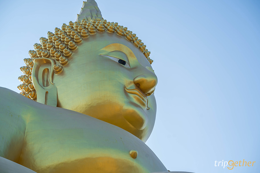 วัดม่วง