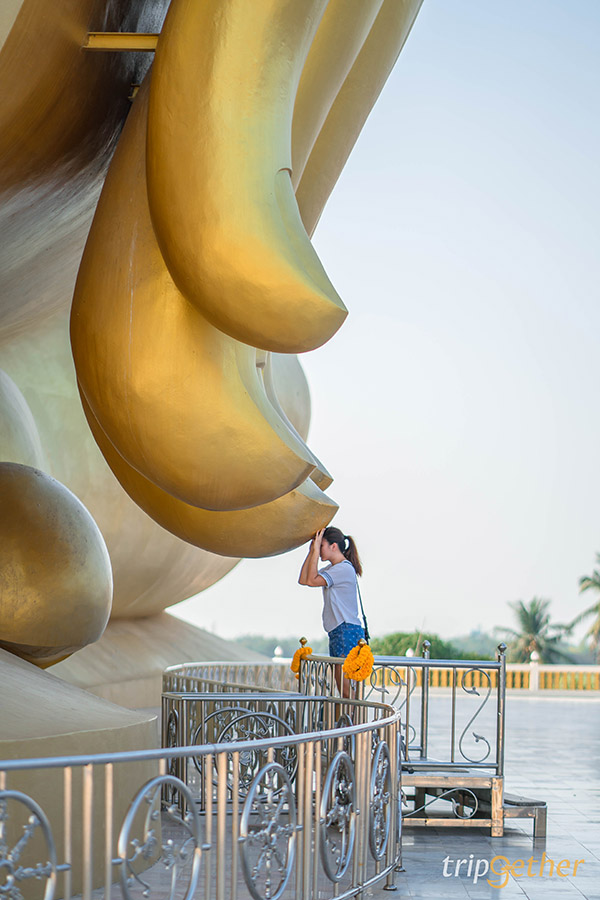 วัดม่วง