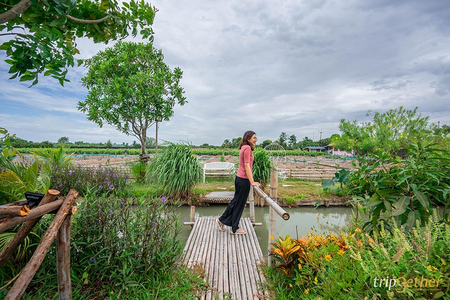 คาเฟ่ในสวน