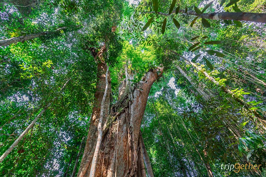 5 เกาะน้ำใส จ.ตราด หาดทรายขาวธรรมชาติสวย บรรยากาศดีต่อใจ!