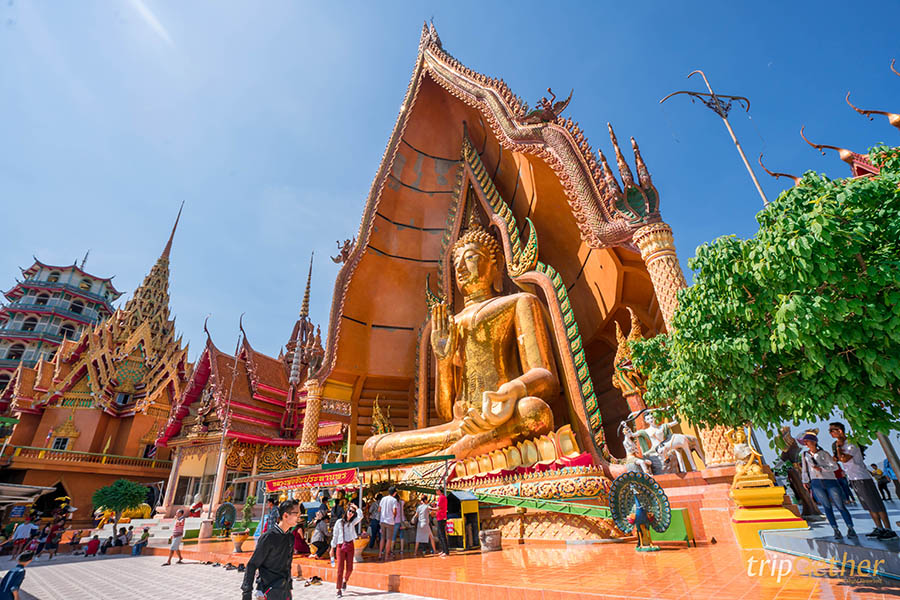 วัดถ้ำเสือ