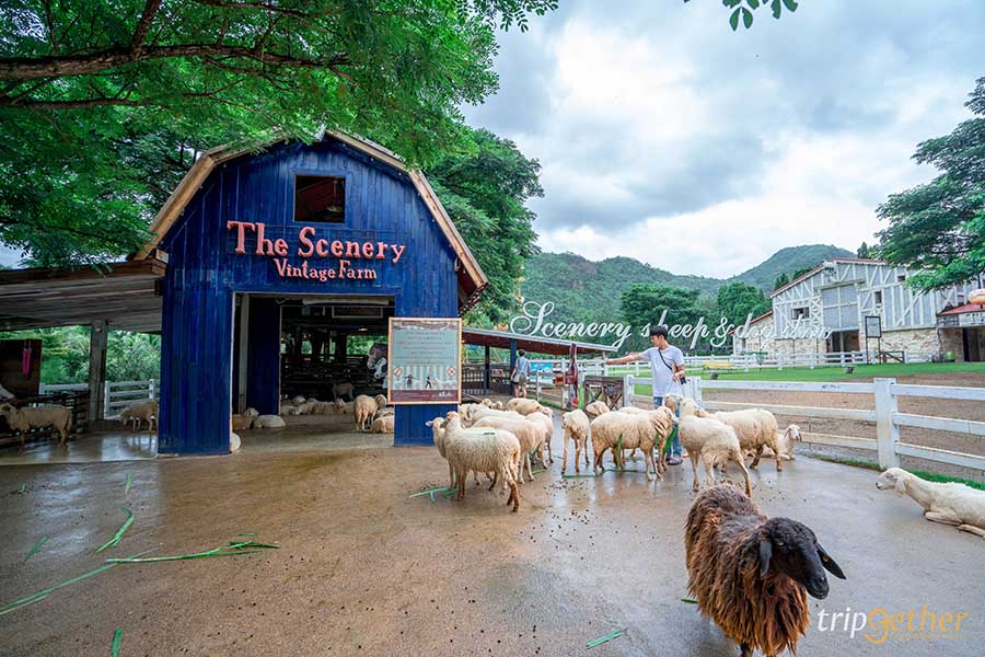 10 ที่เที่ยวเมืองรอง ใกล้กรุง ชวนเพื่อนไปสโลว์ไลฟ์ได้ง่ายๆ