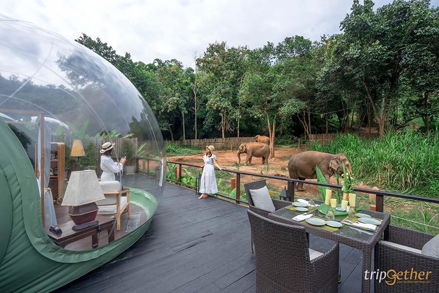 5 จุดเช็คอินดูช้างทั่วไทย เที่ยวชิลล์ พร้อมสัมผัสช้างน่ารัก