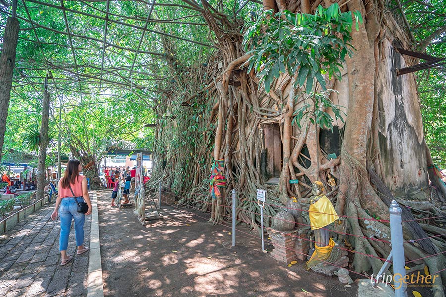 5 ชุมชนริมน้ำน่าเที่ยว บรรยากาศดี ของอร่อยเพียบ!!