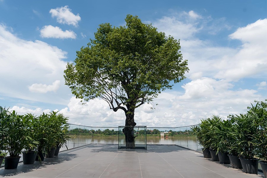 5 คาเฟ่หนองคาย