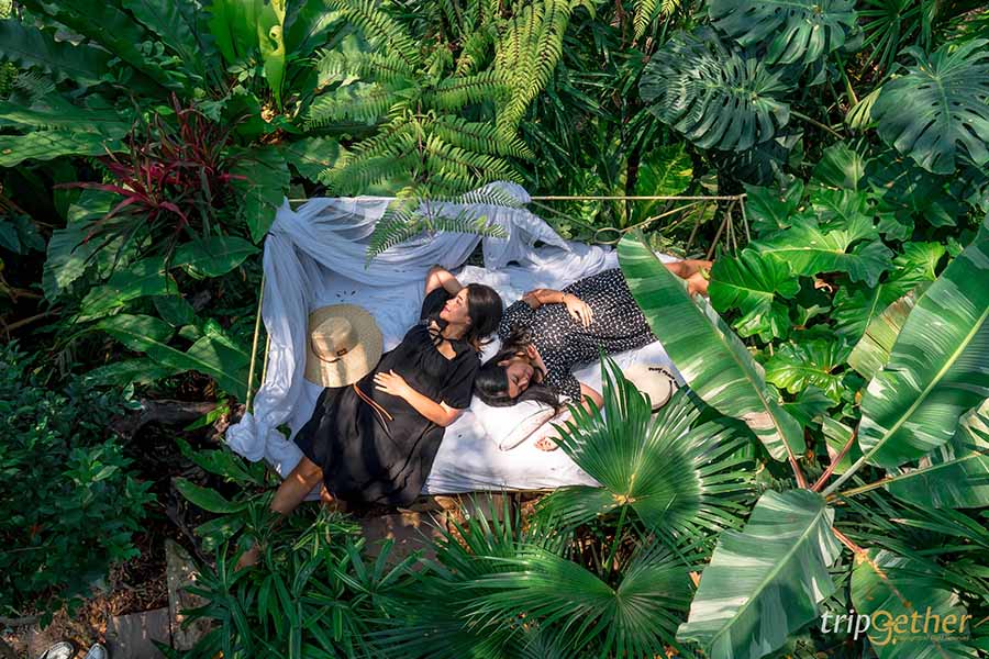 5 จุดเช็คอินดูช้างทั่วไทย เที่ยวชิลล์ พร้อมสัมผัสช้างน่ารัก