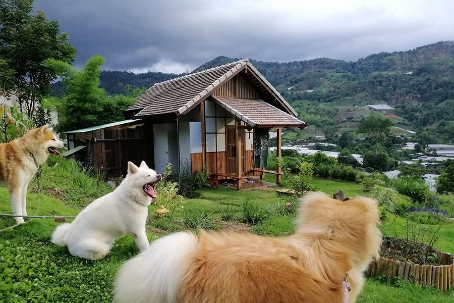 15 ที่พักสไตล์ญี่ปุ่นทั่วไทย ไม่ต้องบินไกลก็สัมผัสความ Japan ได้ !!