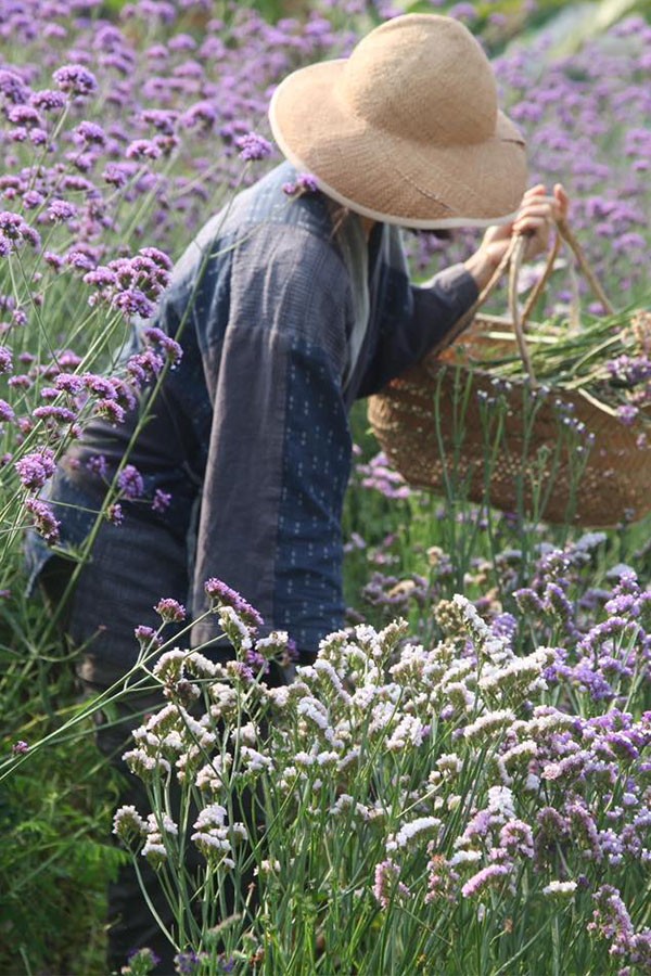 15 ที่พักสไตล์ญี่ปุ่นทั่วไทย ไม่ต้องบินไกลก็สัมผัสความ Japan ได้ !!