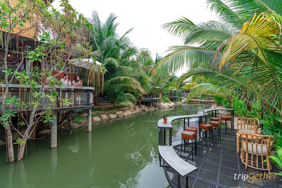 5 คาเฟ่พาน้องหมาน้องแมวไปเช็คอิน เอาใจคนรักสัตว์