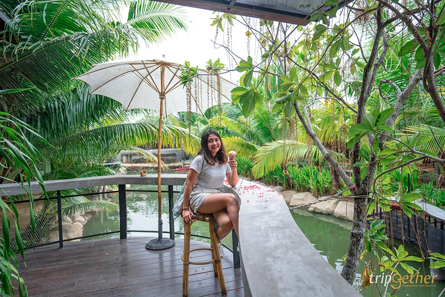 5 คาเฟ่พาน้องหมาน้องแมวไปเช็คอิน เอาใจคนรักสัตว์