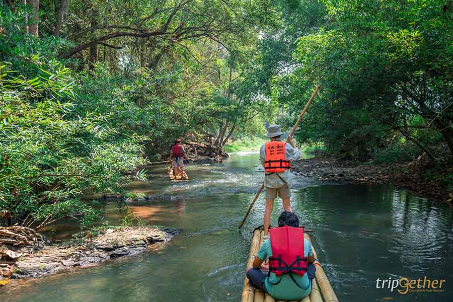 5 จุดเช็คอินดูช้างทั่วไทย เที่ยวชิลล์ พร้อมสัมผัสช้างน่ารัก
