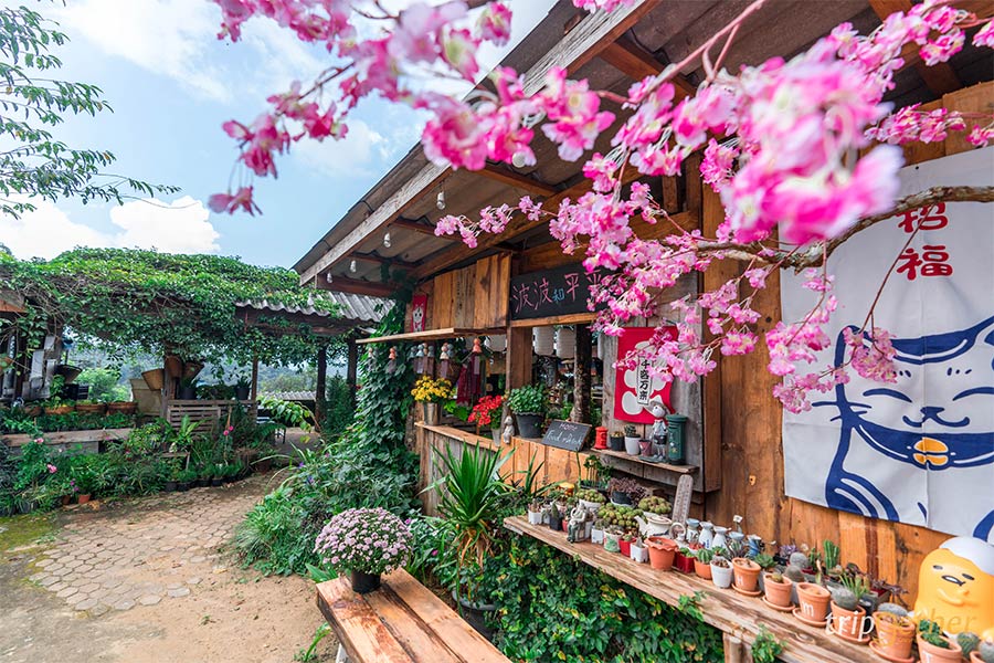 15 ที่พักสไตล์ญี่ปุ่นทั่วไทย ไม่ต้องบินไกลก็สัมผัสความ Japan ได้ !!