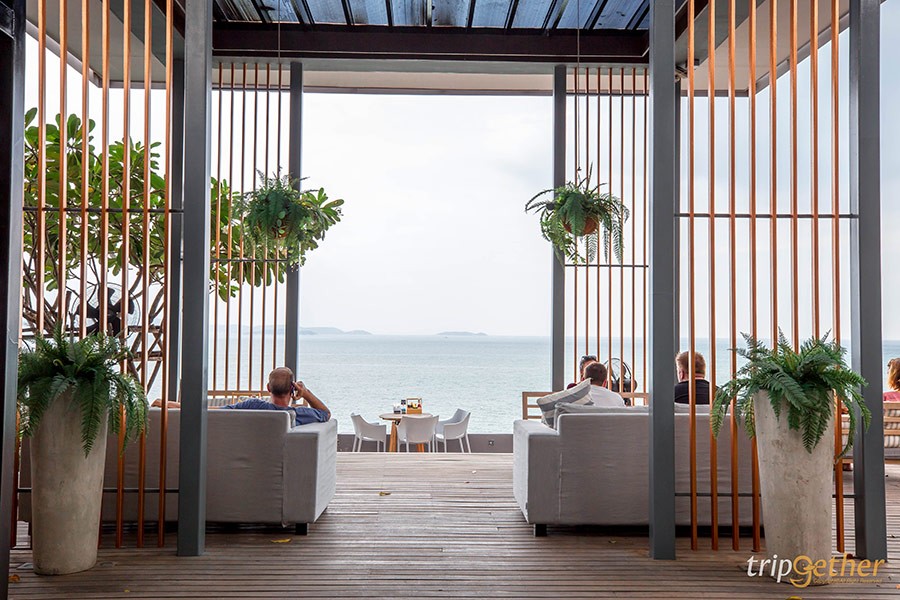 5 คาเฟ่พาน้องหมาน้องแมวไปเช็คอิน เอาใจคนรักสัตว์