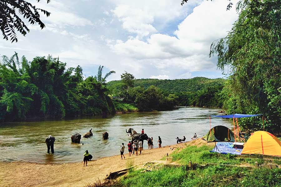 5 จุดเช็คอินดูช้างทั่วไทย เที่ยวชิลล์ พร้อมสัมผัสช้างน่ารัก