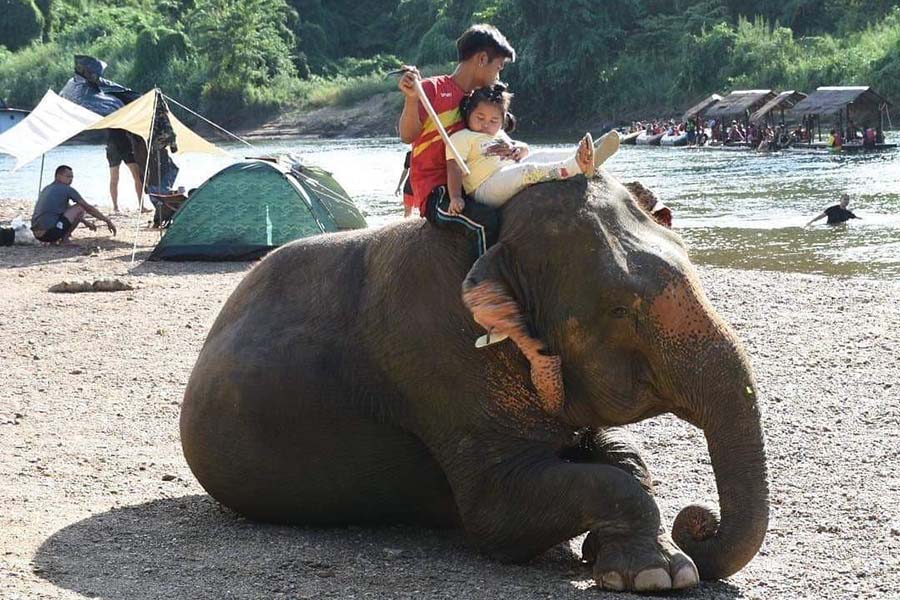 5 จุดเช็คอินดูช้างทั่วไทย เที่ยวชิลล์ พร้อมสัมผัสช้างน่ารัก