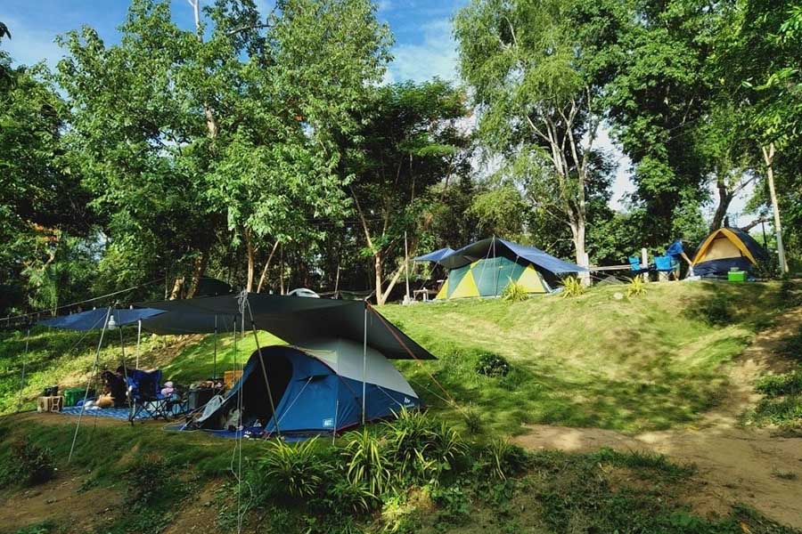 5 จุดเช็คอินดูช้างทั่วไทย เที่ยวชิลล์ พร้อมสัมผัสช้างน่ารัก