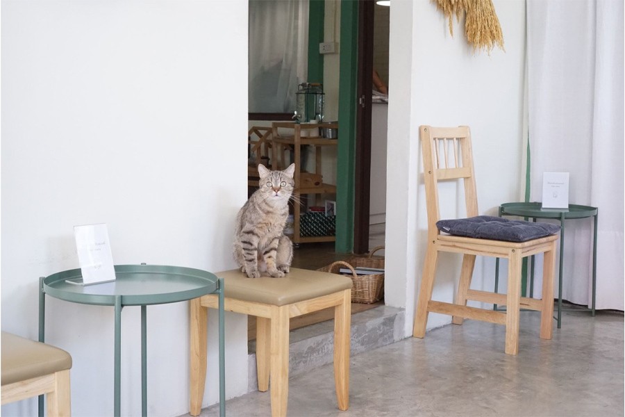 7 คาเฟ่ย่านพระราม 2 บรรยากาศดี๊ดีที่ต้องไปเช็คอิน