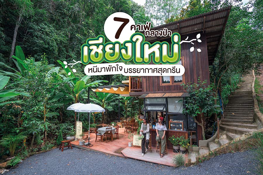 7 คาเฟ่กลางป่า เชียงใหม่ หนีมาพักใจ บรรยากาศสุดกรีน