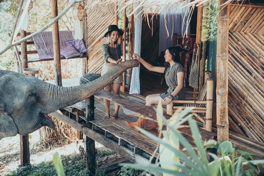 5 จุดเช็คอินดูช้างทั่วไทย เที่ยวชิลล์ พร้อมสัมผัสช้างน่ารัก