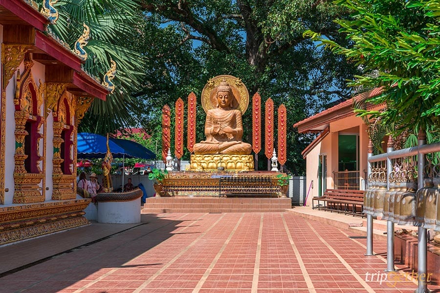 ไหว้พระ 8 วัดสวยเมืองน่าน ทำบุญเบิกบานใจ สายบุญต้องไลก์!