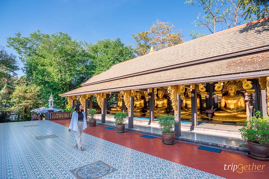 6 จุดเช็คอินลำปาง บรรยากาศฟิน น่าชวนเพื่อนมาสโลว์ไลฟ์