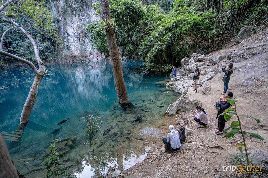 6 จุดเช็คอินลำปาง บรรยากาศฟิน น่าชวนเพื่อนมาสโลว์ไลฟ์