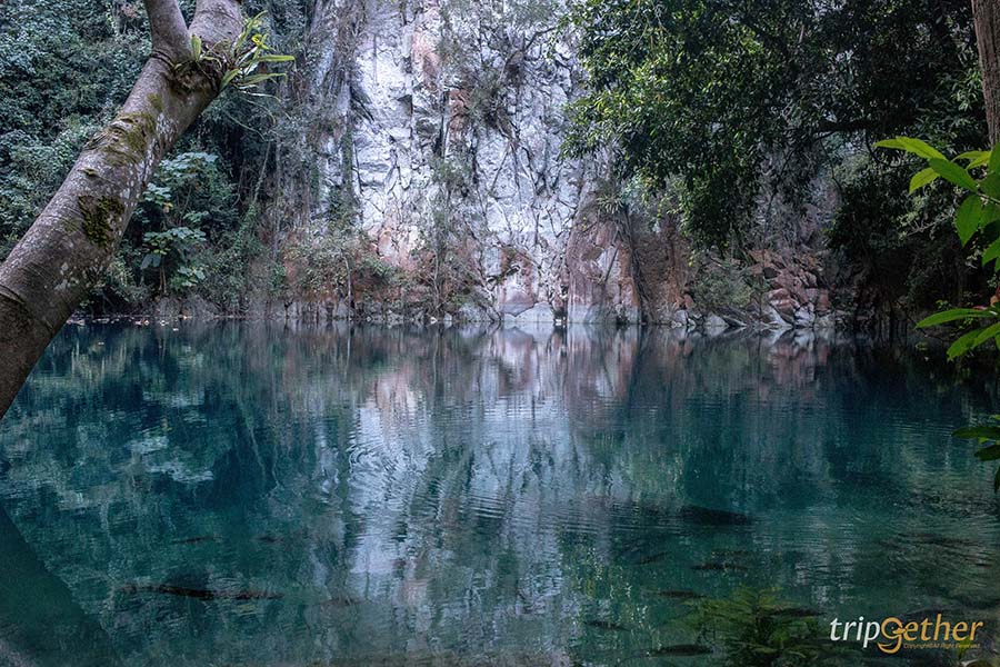 6 จุดเช็คอินลำปาง บรรยากาศฟิน น่าชวนเพื่อนมาสโลว์ไลฟ์