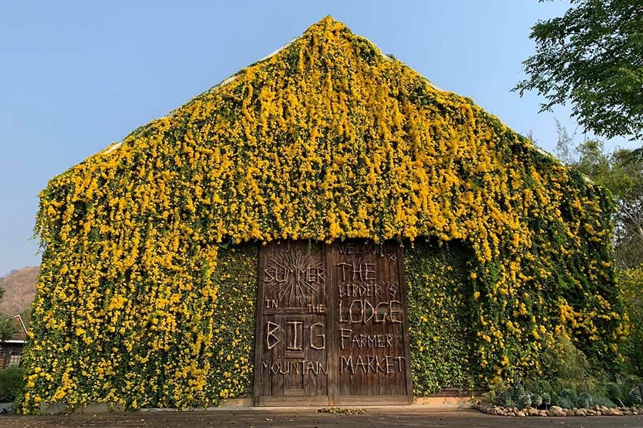 6 ที่พักสไตล์แคมป์ปิ้งใกล้กรุง บรรยากาศชิลล์รับหน้าฝน 