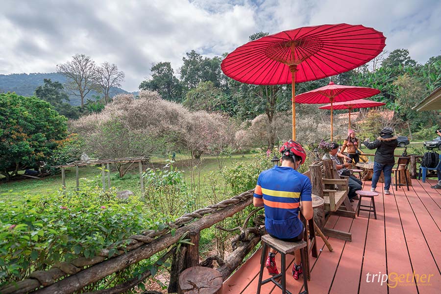 6 จุดเช็คอินลำปาง บรรยากาศฟิน น่าชวนเพื่อนมาสโลว์ไลฟ์