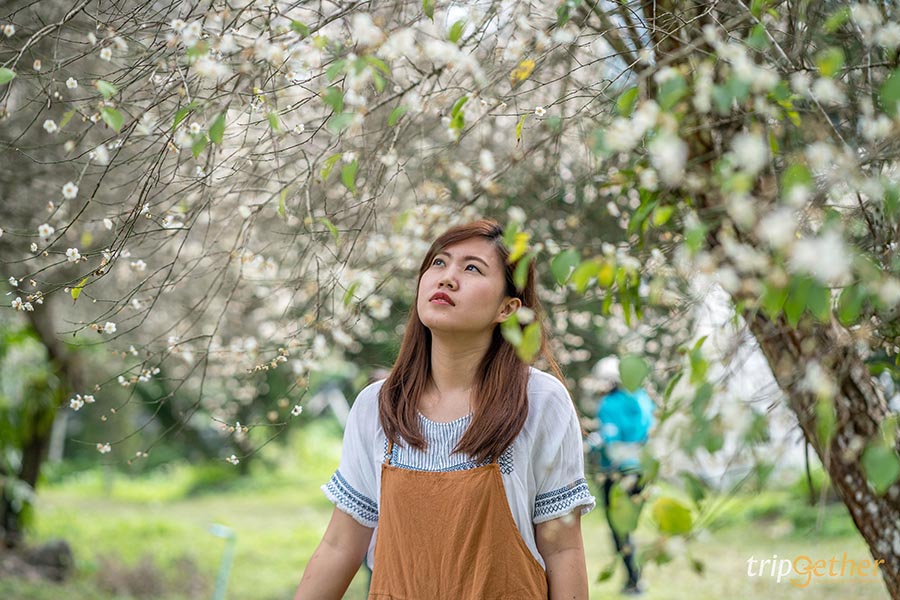 6 จุดเช็คอินลำปาง บรรยากาศฟิน น่าชวนเพื่อนมาสโลว์ไลฟ์