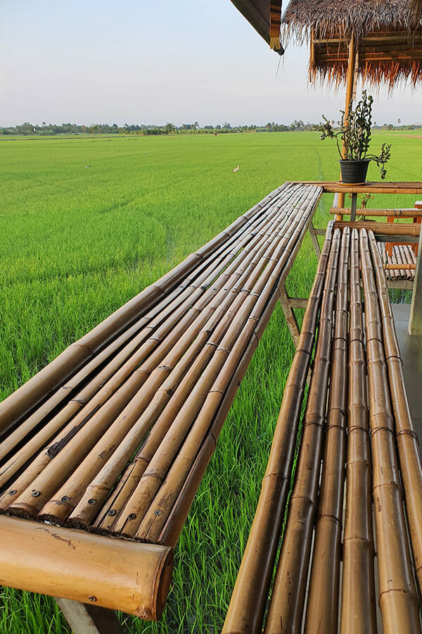 6 ร้านก๋วยเตี๋ยวกลางทุ่งนา นั่งชิลล์ท่ามกลางบรรยากาศสบาย