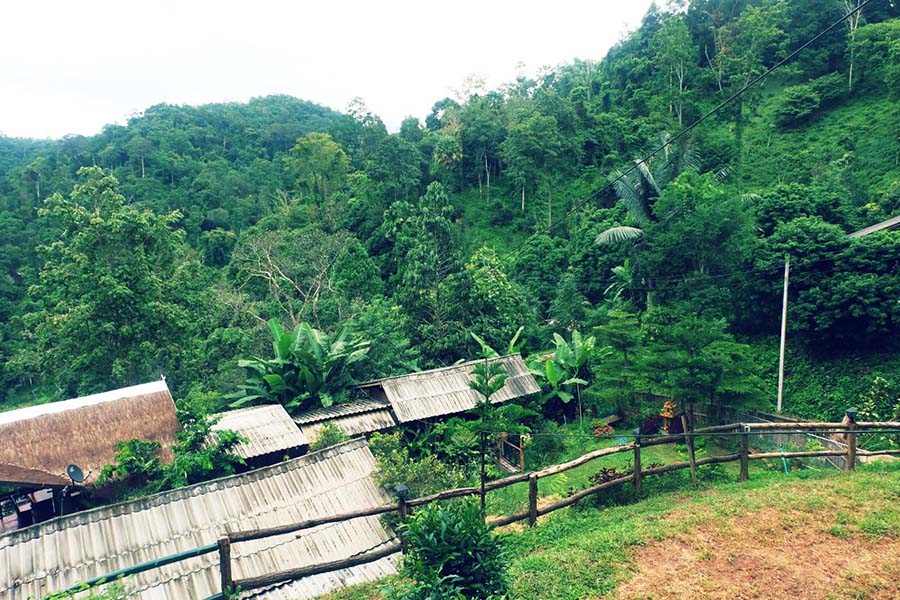 5 ที่พักหมู่บ้านแม่แมะ เชียงดาว นอนกลางป่าริมลำธาร