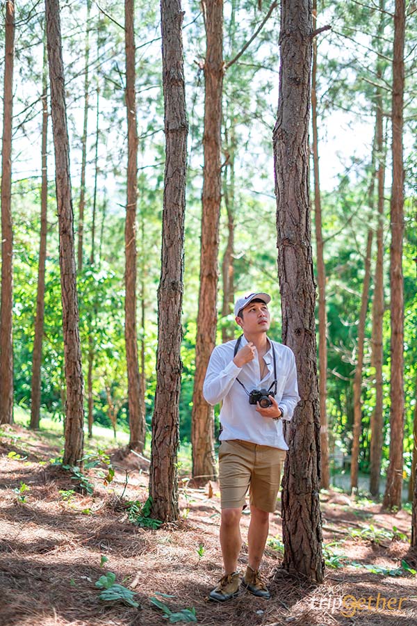 รวม 6 จุดเช็คอินป่าสน ที่หน้าฝนนี้ต้องไปรับความชุ่มฉ่ำ