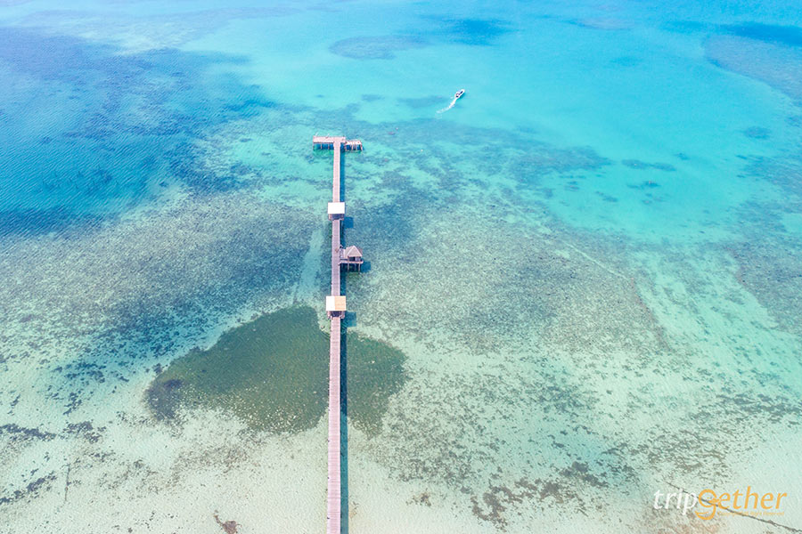 7 ที่พักมีเปลตาข่ายริมทะเล ชมวิวคลื่นแบบไม่มีอะไรมากั้น!