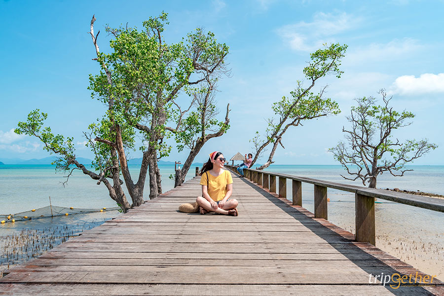 7 ที่พักมีเปลตาข่ายริมทะเล ชมวิวคลื่นแบบไม่มีอะไรมากั้น!