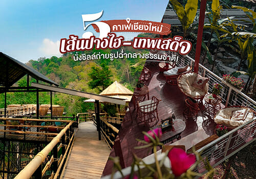 5 คาเฟ่เส้นปางไฮ-เทพเสด็จ เชียงใหม่ นั่งชิลล์ถ่ายรูปฉ่ำกลางธรรมชาติ!