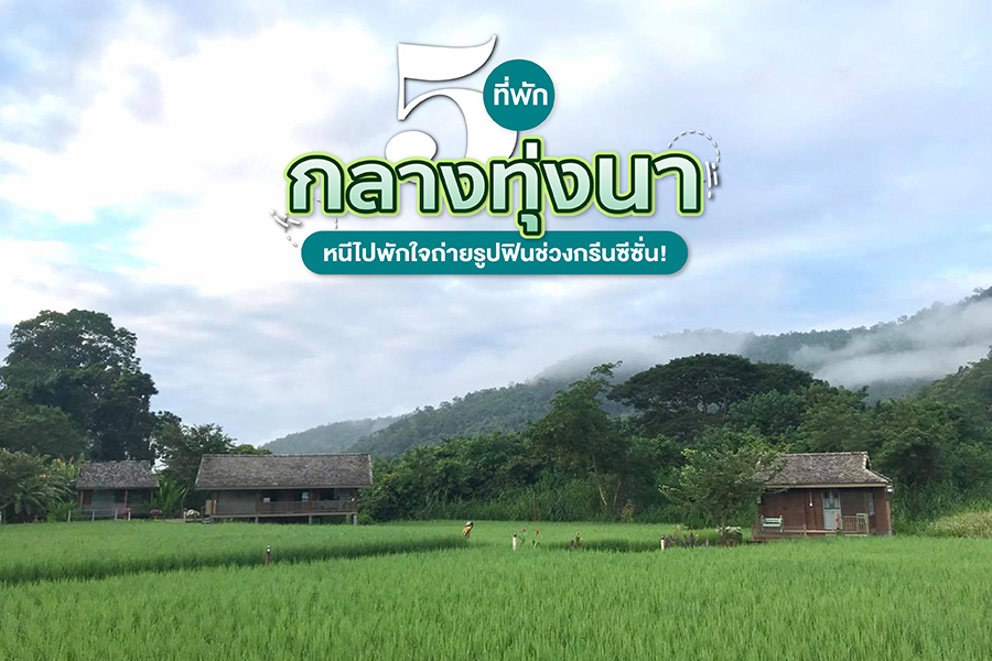 5 ที่พักกลางทุ่งนา หนีไปพักใจถ่ายรูปฟินช่วงกรีนซีซั่น!