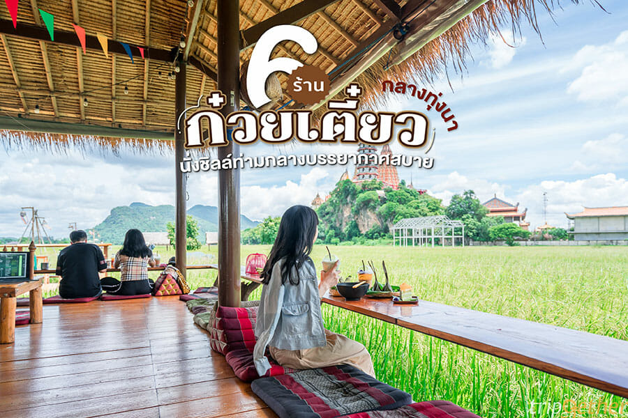 6 ร้านก๋วยเตี๋ยวกลางทุ่งนา นั่งชิลล์ท่ามกลางบรรยากาศสบาย