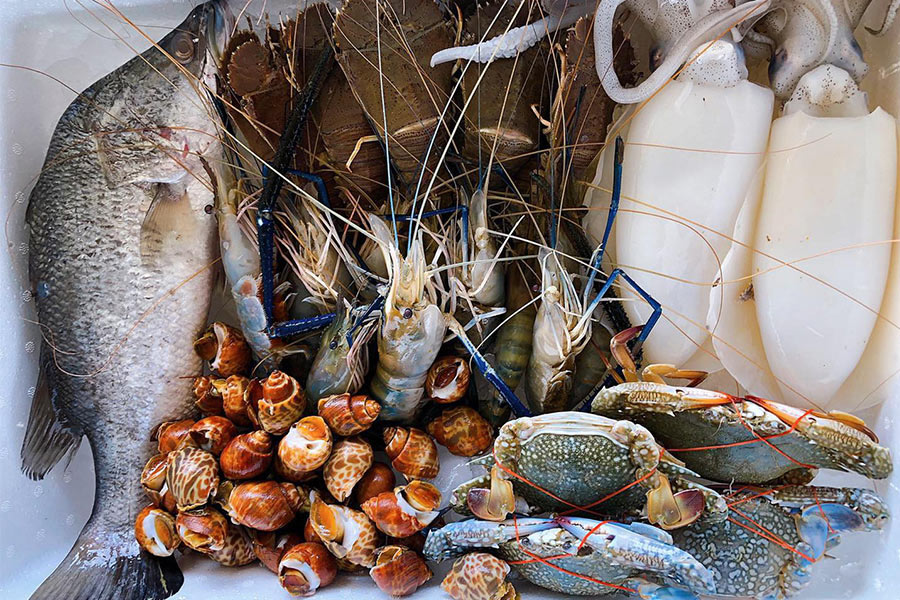 8 ร้านกล่องสุ่มอาหารทะเลแบบจัดเต็ม ได้กินสดๆ ส่งตรงถึงหน้าบ้าน