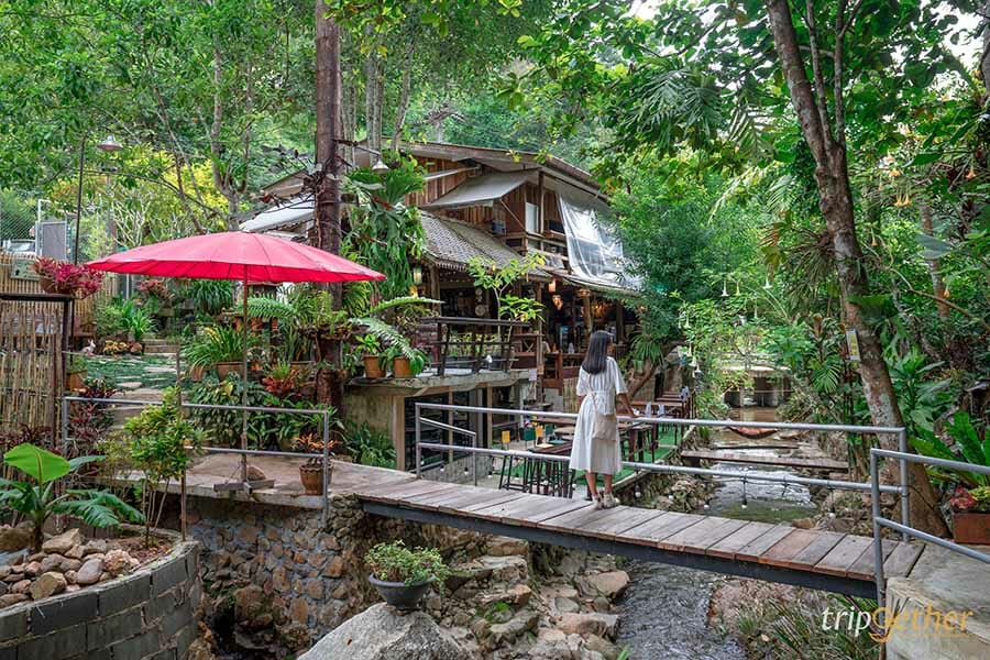 5 หมู่บ้านกลางป่า เชียงใหม่ หนีงานยุ่ง มุ่งไปเช่าป่าสักคืน