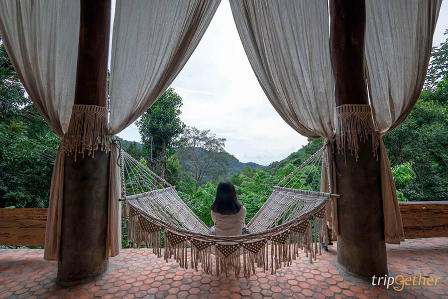 5 หมู่บ้านกลางป่า เชียงใหม่ หนีงานยุ่ง มุ่งไปเช่าป่าสักคืน