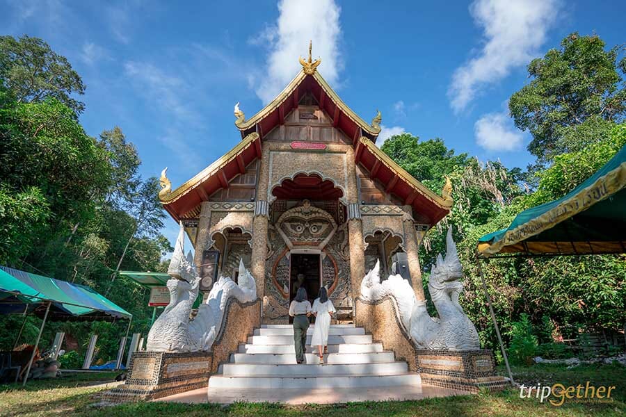 5 หมู่บ้านกลางป่า เชียงใหม่ หนีงานยุ่ง มุ่งไปเช่าป่าสักคืน