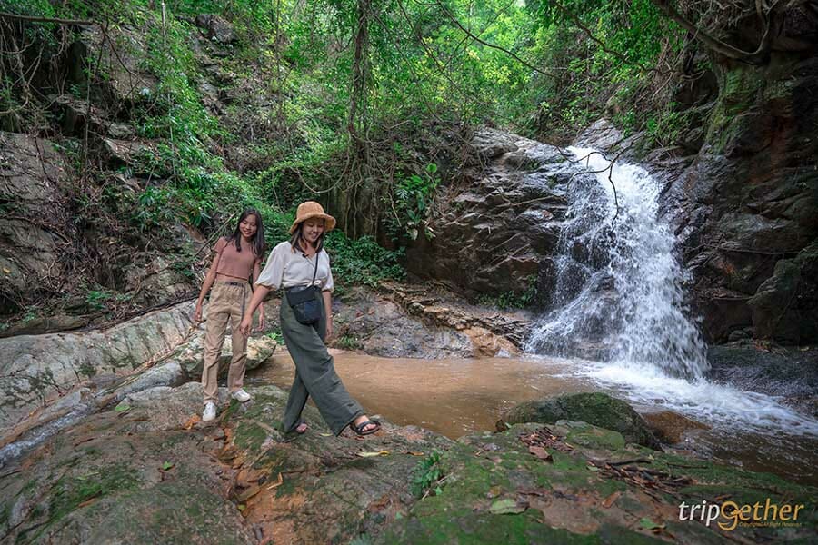 5 หมู่บ้านกลางป่า เชียงใหม่ หนีงานยุ่ง มุ่งไปเช่าป่าสักคืน