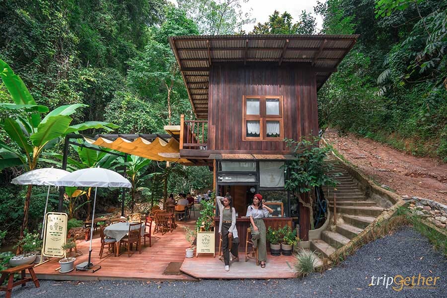 5 หมู่บ้านกลางป่า เชียงใหม่ หนีงานยุ่ง มุ่งไปเช่าป่าสักคืน